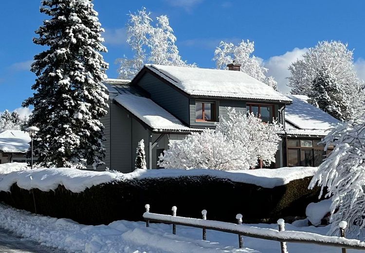 Pictures of Agnès C.'s house