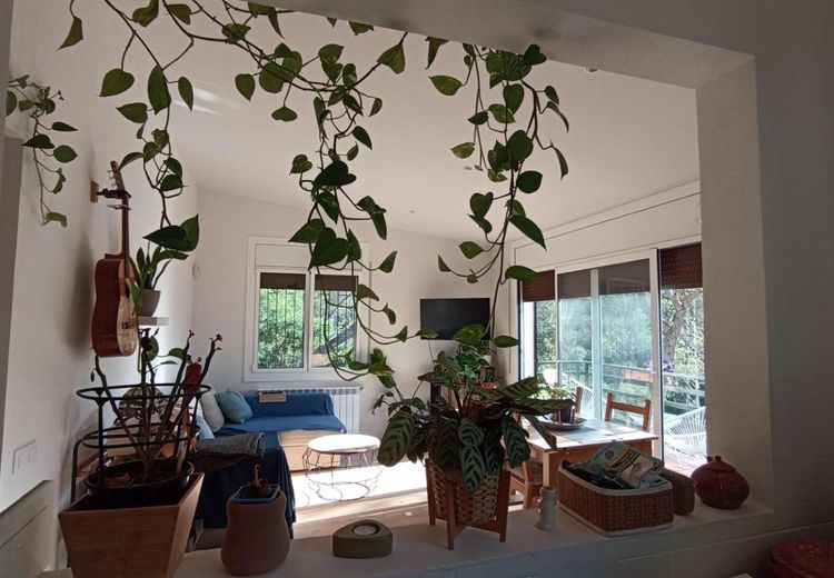 Pictures of Eulalia G.'s house