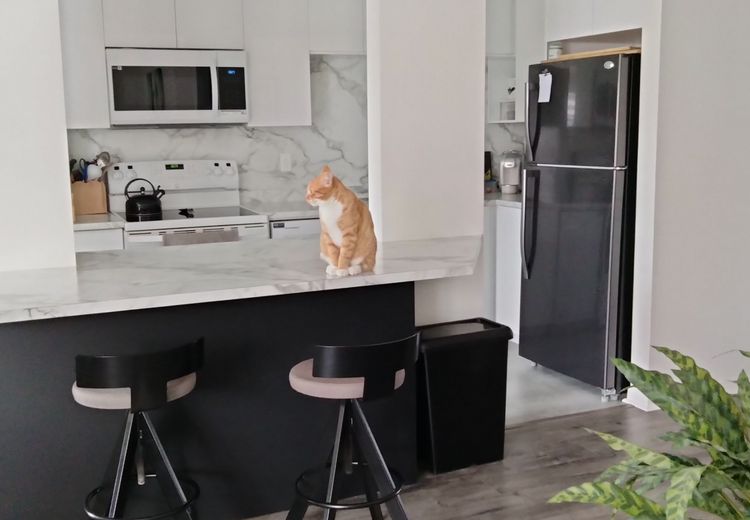Pictures of Marie's house