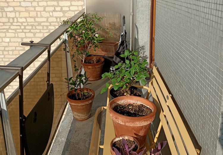 Des photos de la maison de Ilham L.