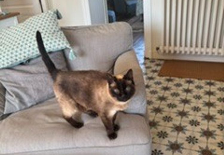 Fotos von Mariannig Haus