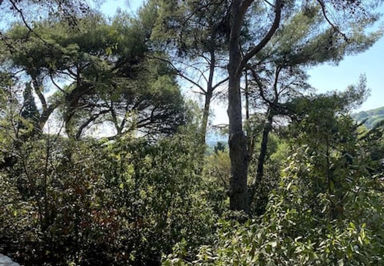 Pictures of Olivier et Marie-Laure's house