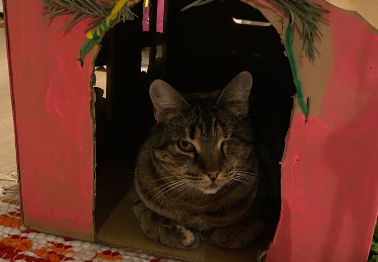 Pictures of Alexandra L.'s house