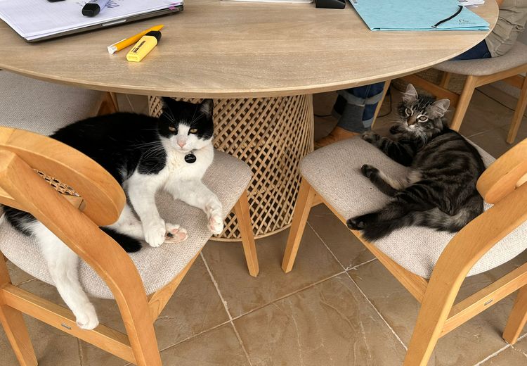 Fotos von Diane D. Haus