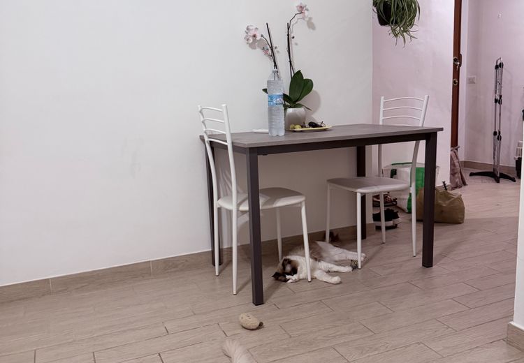 Pictures of Maria Elisabetta M.'s house