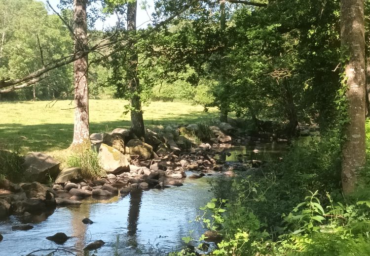Fotos von Stéphanie Haus