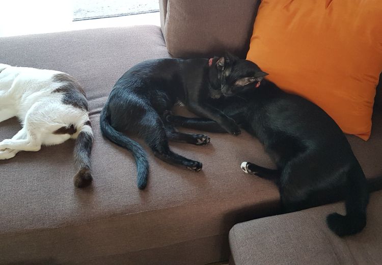 Des photos de la maison de Solange & Thierry