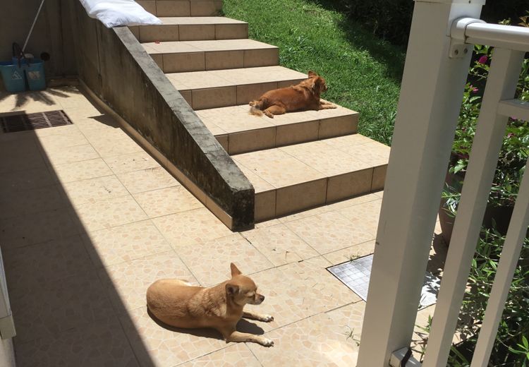 Des photos de la maison de Céline