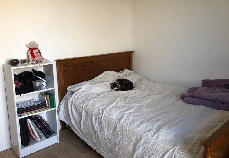 Pictures of Hélaine et Paul's house