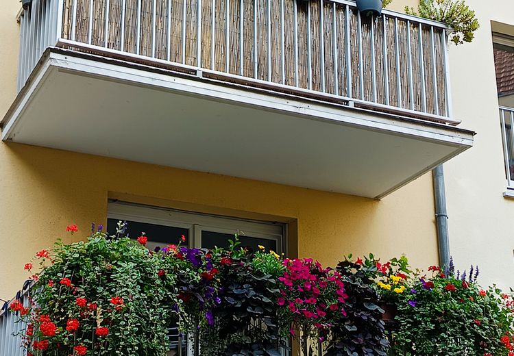 Pictures of Isabelle's house