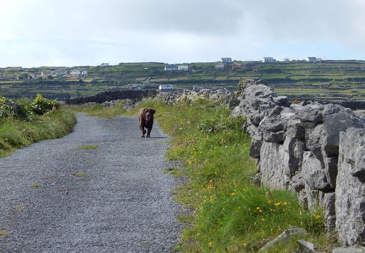 Pictures of Fionnuala M.'s house