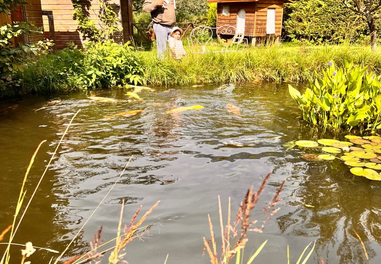 Des photos de la maison de Cathy