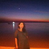 Rima