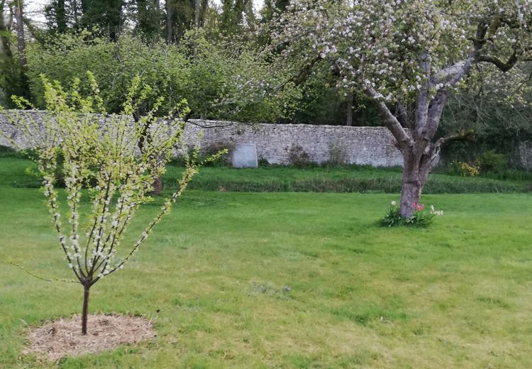 Des photos de la maison de Timothy
