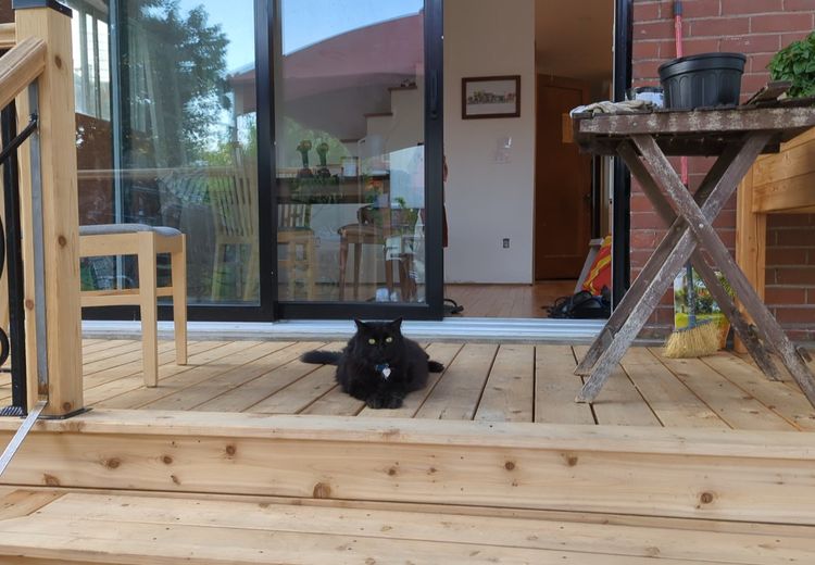Pictures of Hugo V.'s house