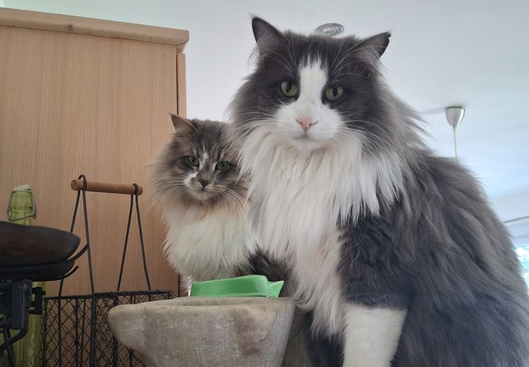 Des photos de la maison de Elodie S.