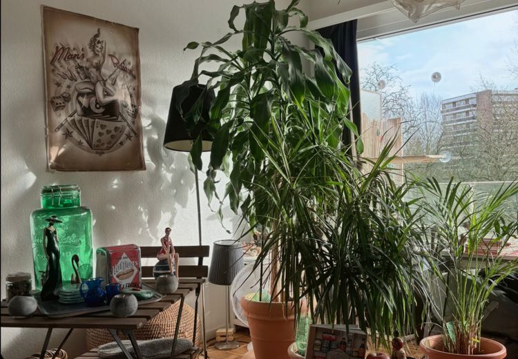 Pictures of Sabine's house