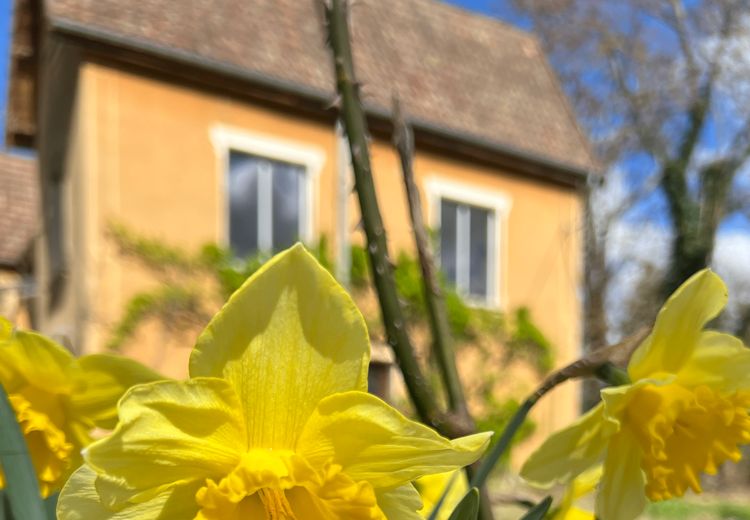 Fotos von Yves A. Haus