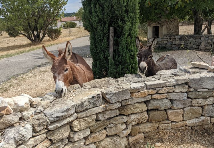 Des photos de la maison de Christian