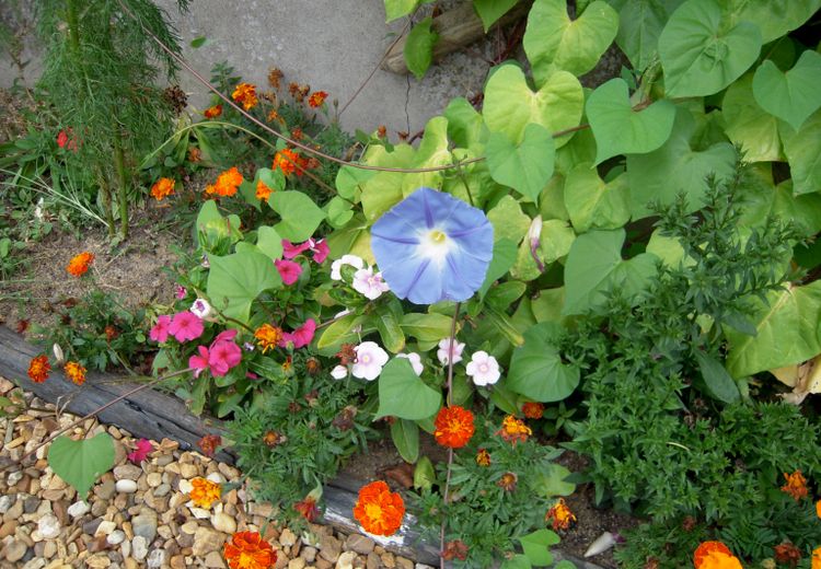 Des photos de la maison de Christine B.