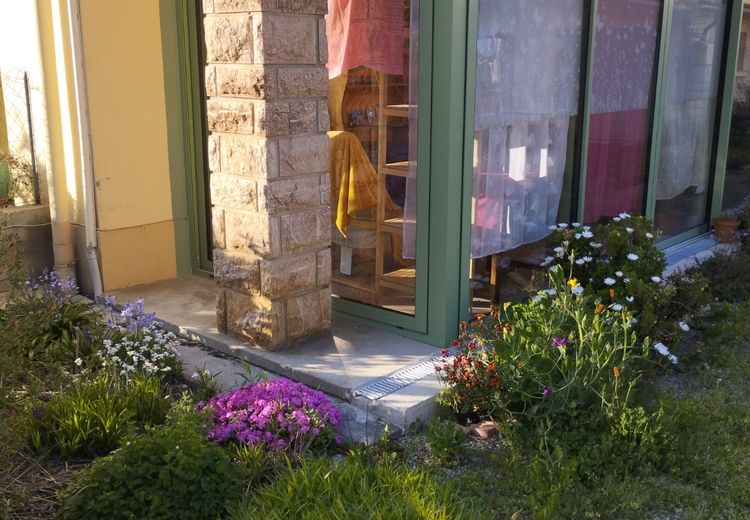 Pictures of Mariette F.'s house