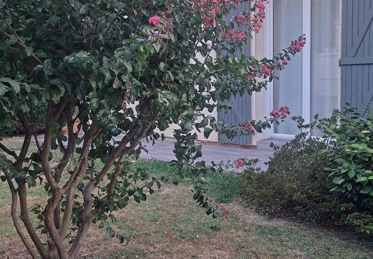 Fotos von Domi Haus