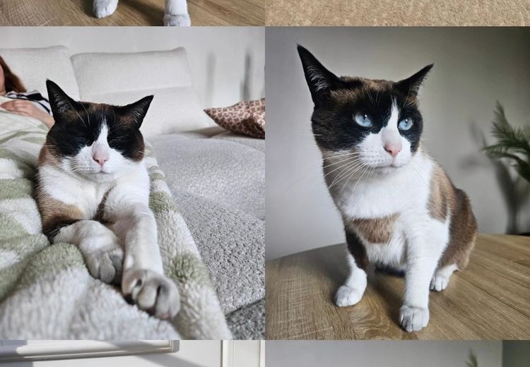 Des photos de la maison de Justine