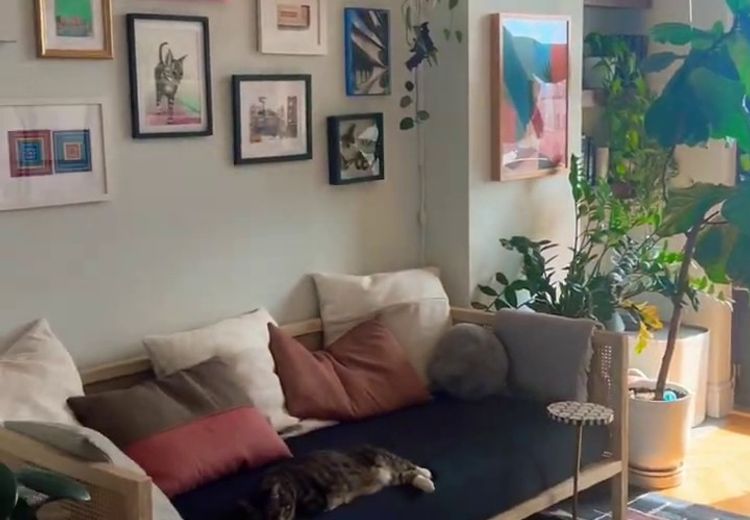 Pictures of Jason's house