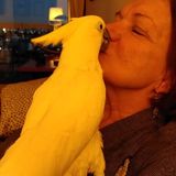 Annick f.