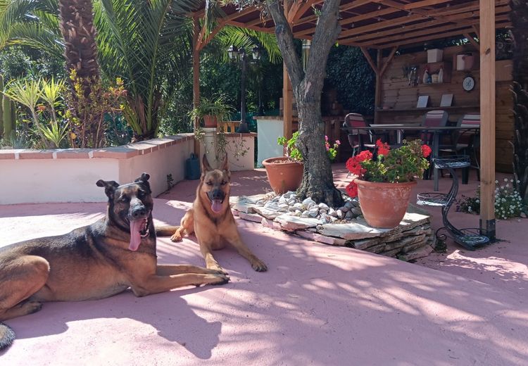 Pictures of Didier et Marie josé V.'s house