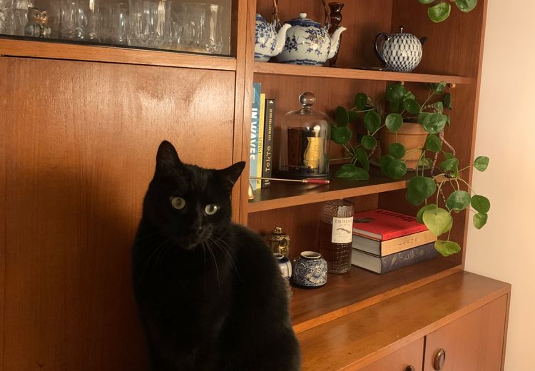 Des photos de la maison de Cynthia J.