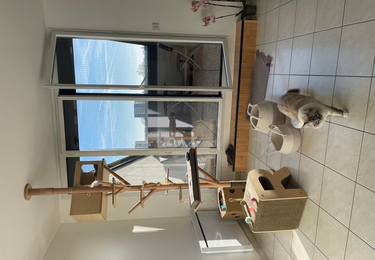 Pictures of Sophie P.'s house