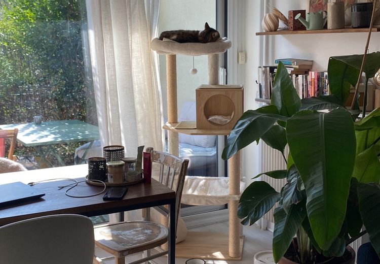 Pictures of Lucille G.'s house