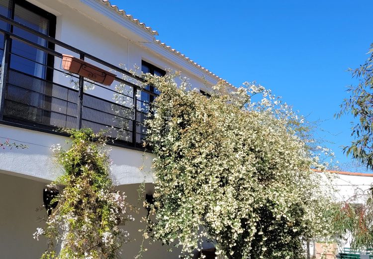 Pictures of Predi's house