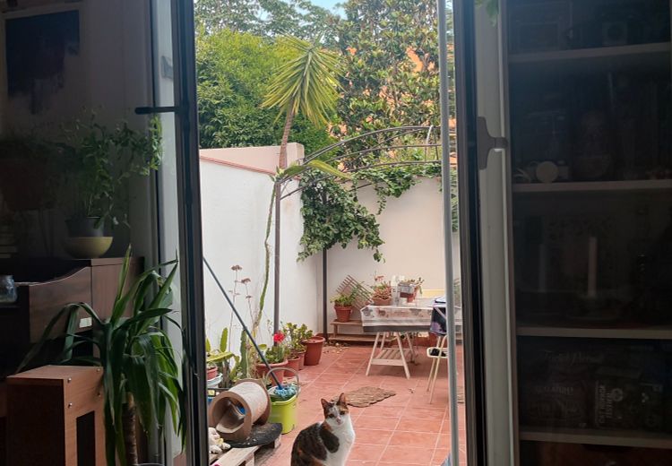 Fotos von Carla Haus