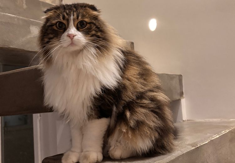 Pictures of Chloé E.'s house