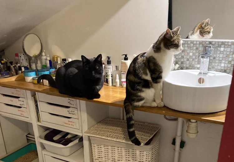 Des photos de la maison de jean-benoit