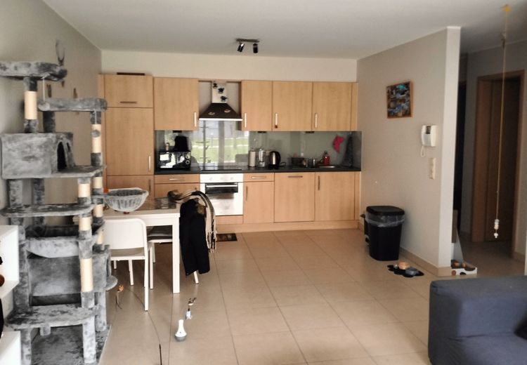 Pictures of Carmen's house