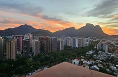 Apartment with 2 cats in Rio de Janeiro