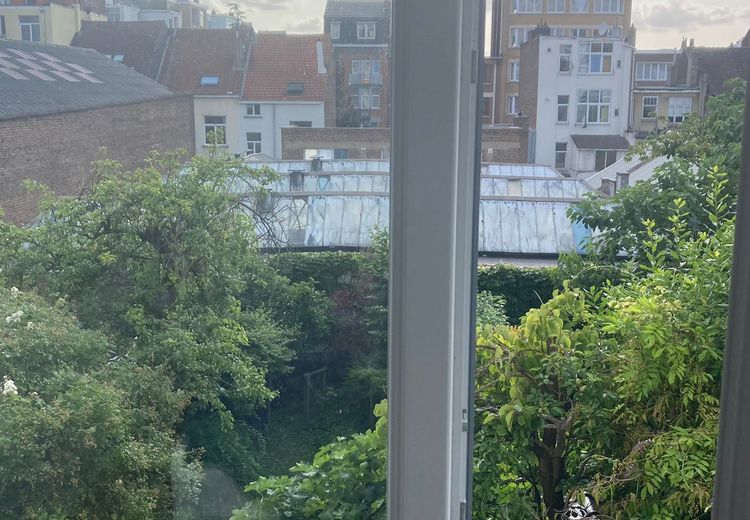 Pictures of fanny R.'s house