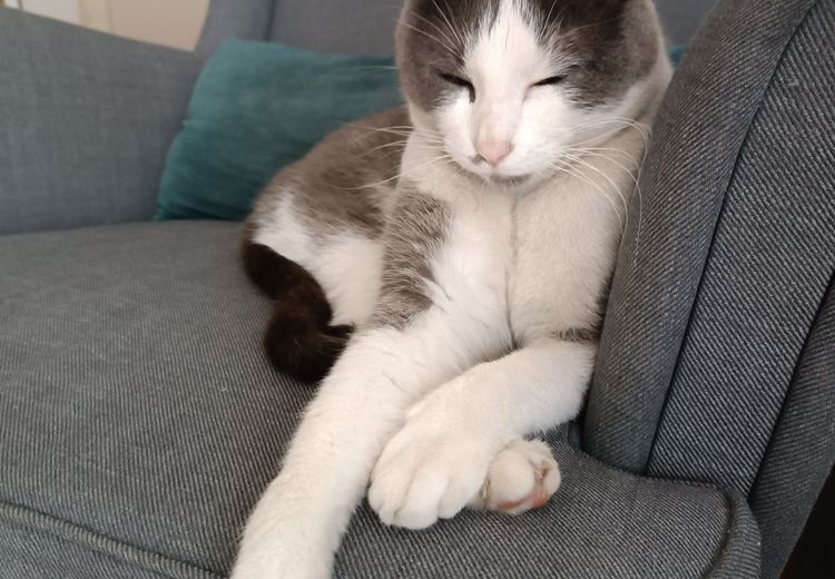 Fotos von Sabine D. Haus