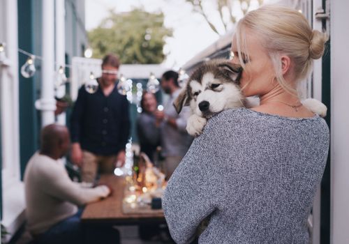 a dog at a neighbors meeting
