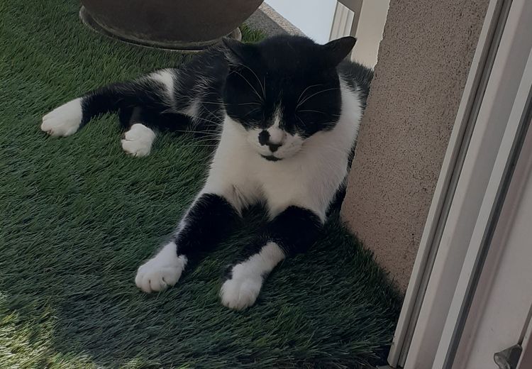 Pictures of Coco's house