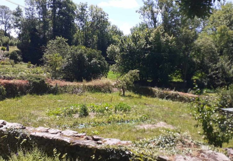 Pictures of Lucie D.'s house