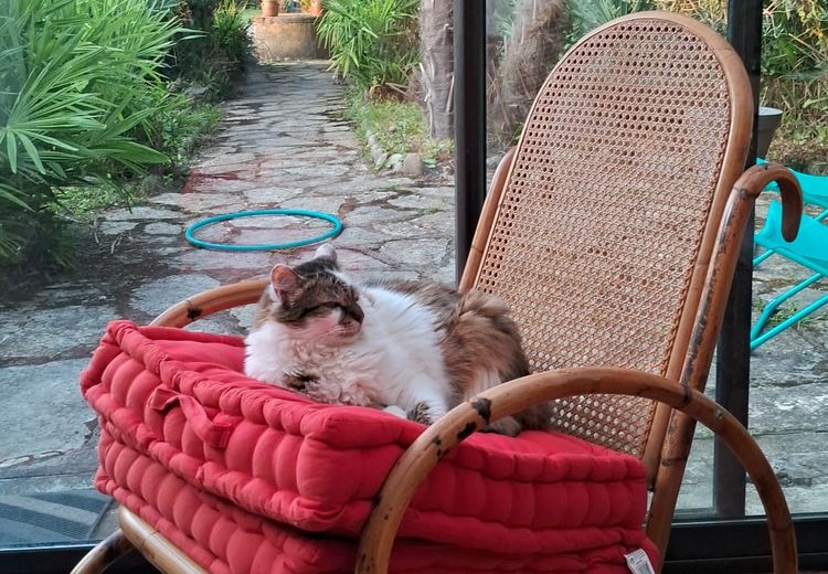 Fotos von fanny J. Haus
