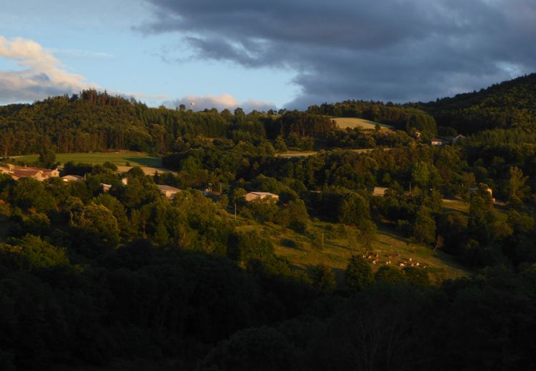 Des photos de la maison de Agnes C.