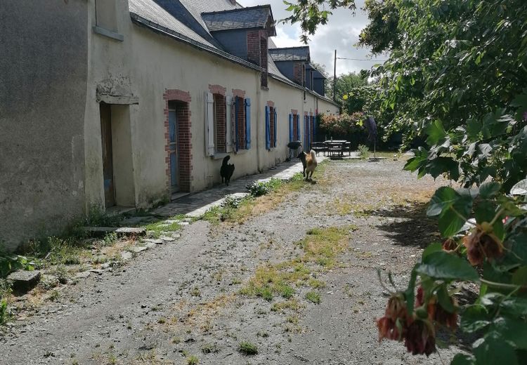 Des photos de la maison de Léonie Z.