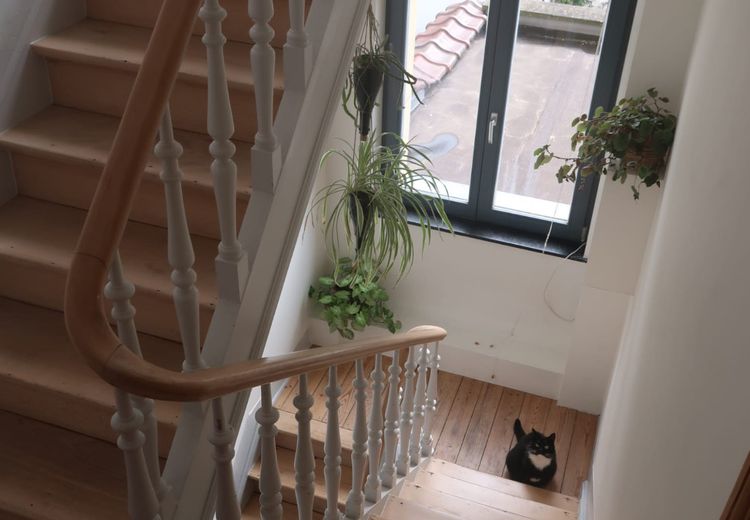 Fotos von Elvina M. Haus