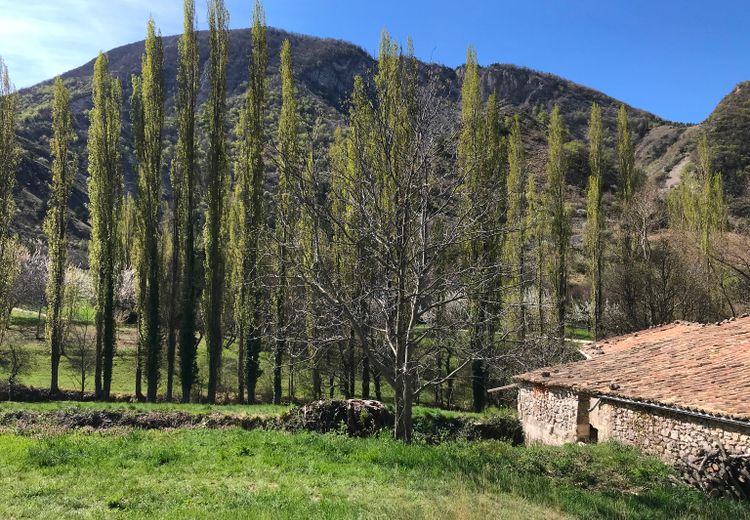 Des photos de la maison de MURIEL H.