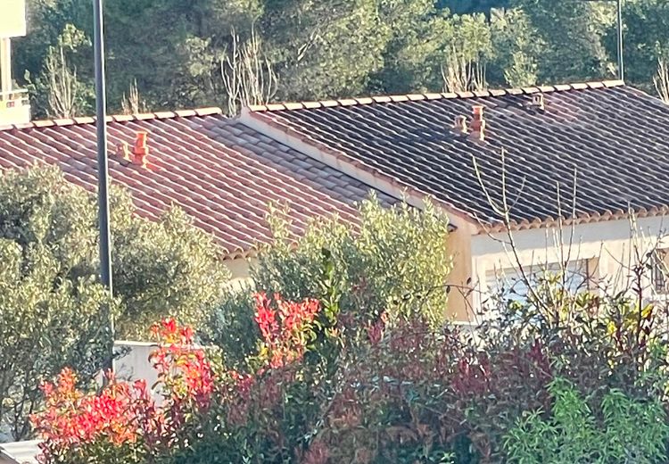 Pictures of Monique B.'s house